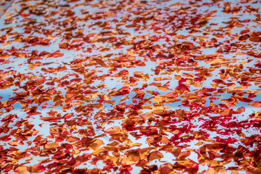 Cristaleria Muskiz Basurto oficinas despachos