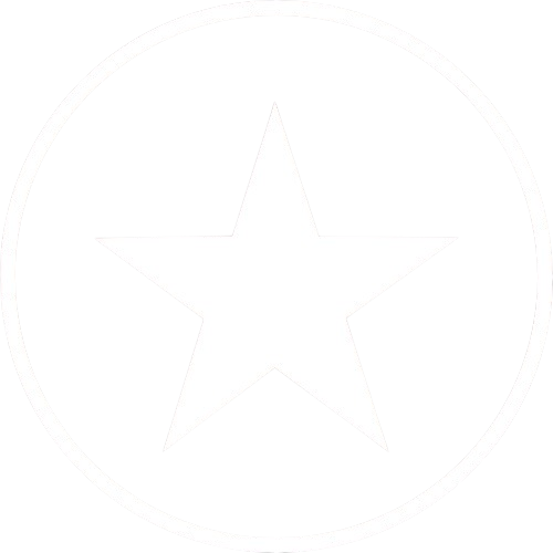 icono estrella especializacion