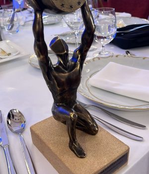 premios european awards medicine